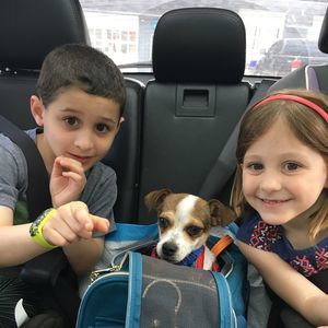 Meet your Posher, Lynn